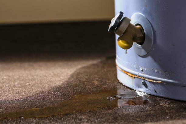Best Water damage cleanup near me  in Helotes, TX