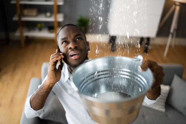 Best Carpet water damage restoration  in Helotes, TX