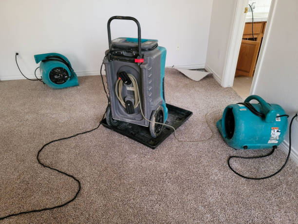 Best Commercial water damage restoration  in Helotes, TX