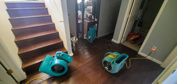 Best Residential water damage restoration  in Helotes, TX
