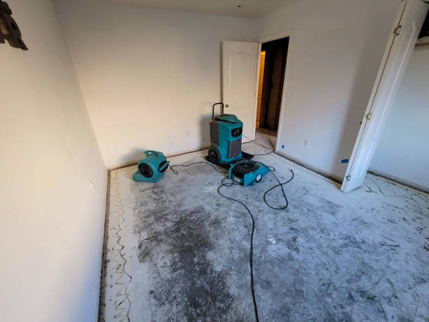 Best 24-hour water damage restoration  in Helotes, TX