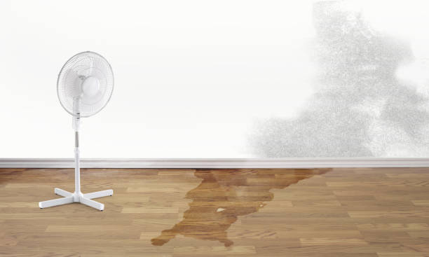 Best Water damage restoration near me  in Helotes, TX