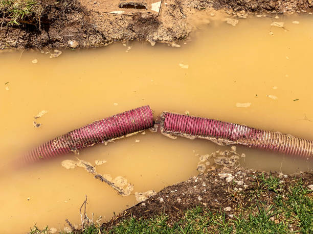 Best Basement water damage restoration  in Helotes, TX