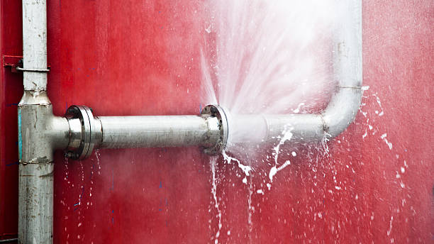 Best Flood restoration services  in Helotes, TX