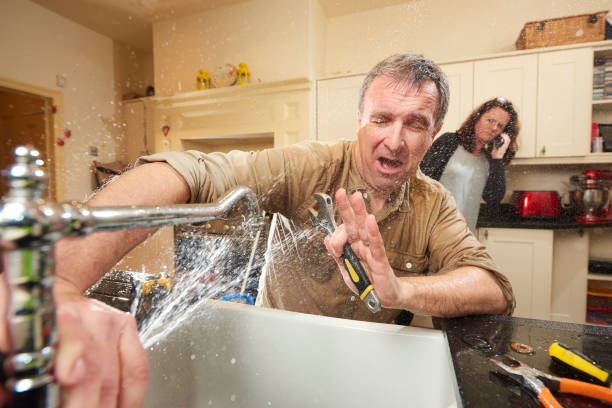 Best Mold removal after water damage  in Helotes, TX